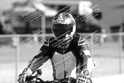 media/Feb-23-2025-2WTD (Sun) [[9604a77d5d]]/1-Around the Pits/